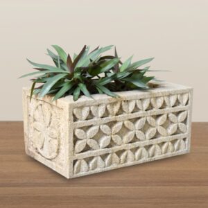 SS PLANTER-IV