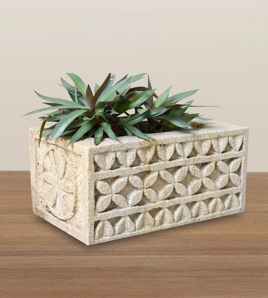 SS PLANTER-IV