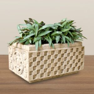 SS PLANTER-V