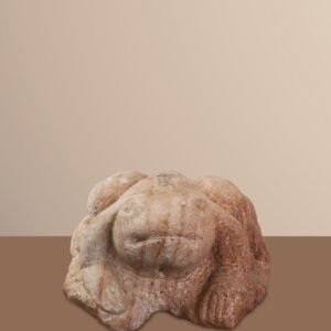 FROG-VII