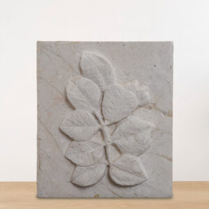 LEAF (RELIEF)